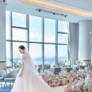 세인트41 이미지