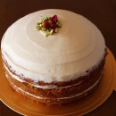 당근(carrot) 이미지