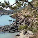 무녀도초등학교 이미지