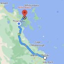 [🇦🇺호주 워홀] 퀸즐랜드 로드 트립 D+8 | 1,123km를...도착 🚘💨 (호주 진드기&amp;차 앞유리 돌빵 수리 후기💬)