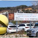 원조고바우식당 이미지