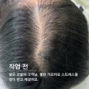 헤어팡팡 이미지