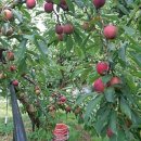 김주연농장 이미지