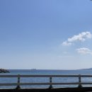 구남매목장 이미지