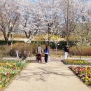 구로푸른학교 | 푸른수목원 서울 걷기좋은 공원 나들이 명소, 서울수목원 무료 입장 힐링여행