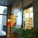 옐레드 애견유치원 & 애견호텔 대전노은점 이미지