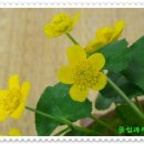 자라는나무 이미지