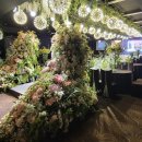 비엔티 카카오 검색결과