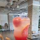 팜앤키친라비브 이미지