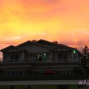 몰디브 민박 이미지