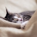 금일건강약국 이미지