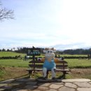 해성목장 이미지