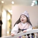 노란꽃민들레사진관