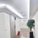 가지스테이 이미지