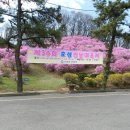 효성공원(4) 이미지