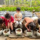 어울림유치원 이미지