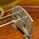 (주)소너스 이미지