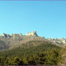 상주유자랜드 이미지