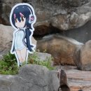 펭귄PC방 이미지