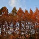 보보스캇 캠핑장 이미지