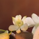 프리마헤어 이미지