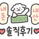 용용선생목포평화 네이버블로그
