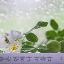 배순농장 이미지