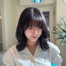 아브헤어 이미지