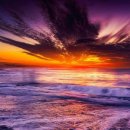 팡팡과일 이미지