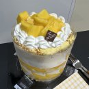 강추 | '성심당 시루케익전문점' 망고크레페케이크 웨이팅 내돈내산 강추 후기