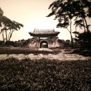 수원-1907 이미지