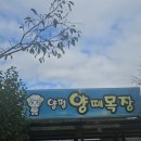 오서목장 이미지