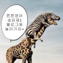 튼튼영어마스터클럽보습학원