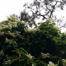 광창공인중개사사무소 이미지