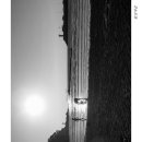 꽃지노을 이미지