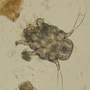 조원 동물병원 이미지