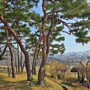 외암민속마을 이미지