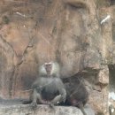 KFC 당구장 이미지