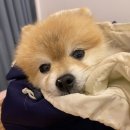 이층커피 네이버블로그