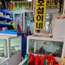 호섭이네(동흥호) 이미지