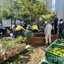 초지동 행정복지센터 이미지