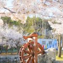 설봉공원 이미지