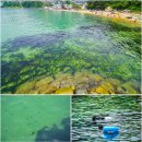 흥남해수욕장 이미지