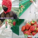 소율농장 이미지