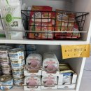 사랑실천동물병원 이미지