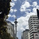 이든마켓 | 아트 갤러리, 오클랜드 맛집 추천 Tony's Original Steak &amp; Seafood Restaurant, 오클랜드 나이트마켓