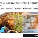 조이투어 네이버블로그