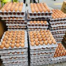 영중농장 이미지