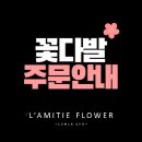라미띠에 이미지