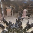 청계슈퍼 이미지